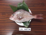 鯛めし