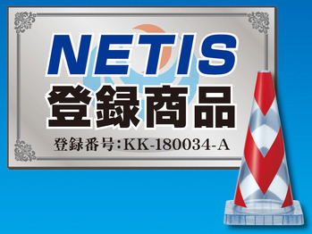 スケルコンNETIS_ロゴ_1