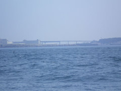 0c82d219.jpg