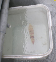b5329ab2.jpg