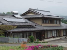 P5090009