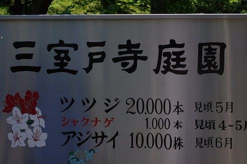 IMGP7644