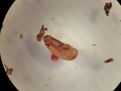 CIMG0285