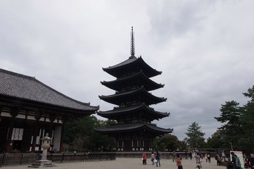 IMGP1091