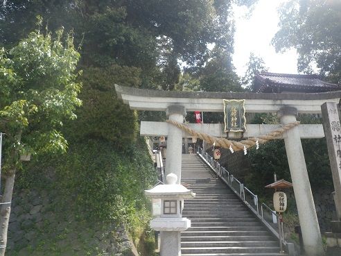 IMGP8711