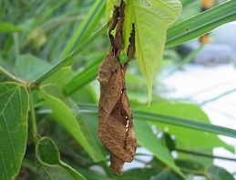 IMG_2134ka