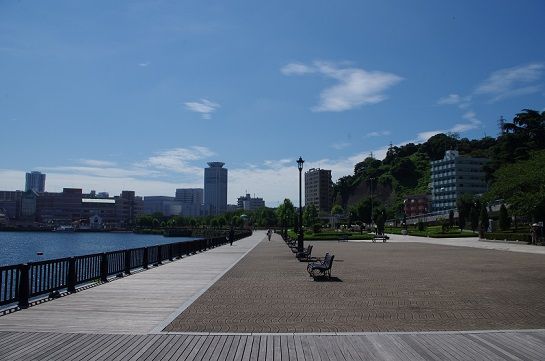 IMGP3513