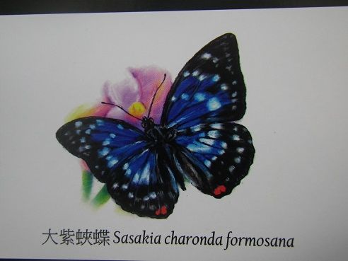 IMGP5938