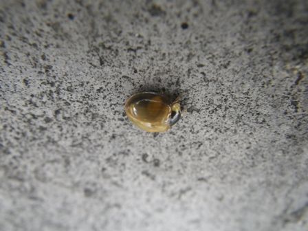 IMGP7925