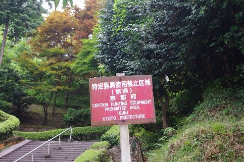 IMGP8042