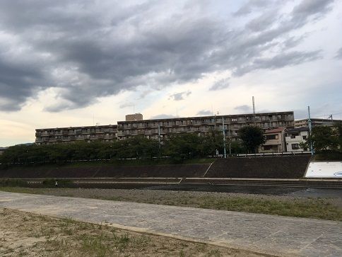IMG_0386