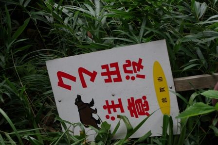 IMGP7681