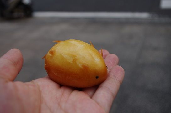 IMGP3411