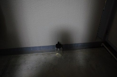 IMGP2219