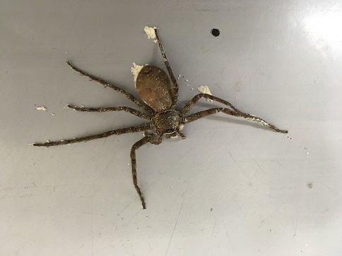 Image uploaded from iOS (1)