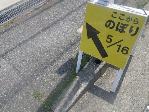 IMGP8713