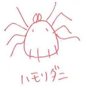 hamori