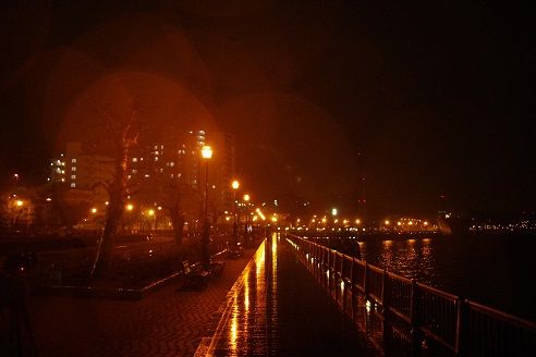 IMGP1282