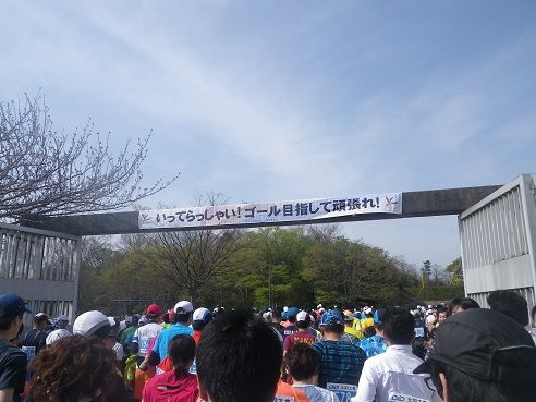 IMGP8648
