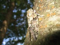 IMG_4687