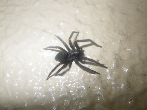IMGP4552