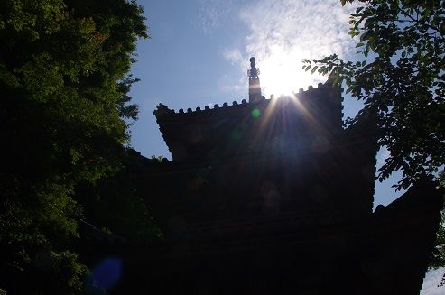 IMGP7608