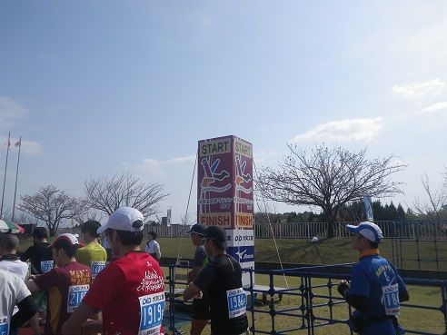 IMGP8645