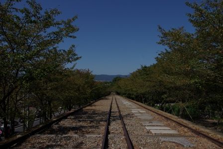 IMGP8499