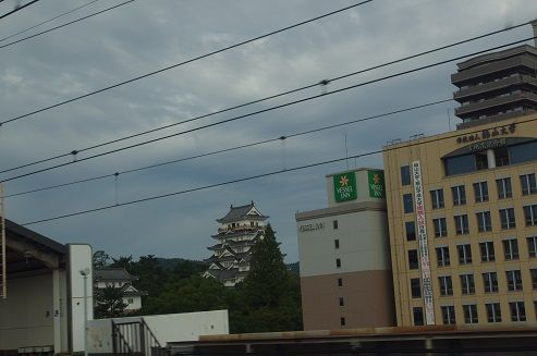 IMGP8779
