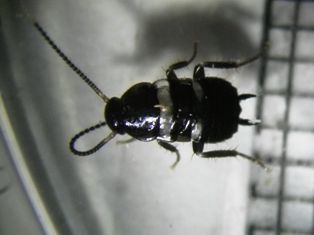 IMGP0779