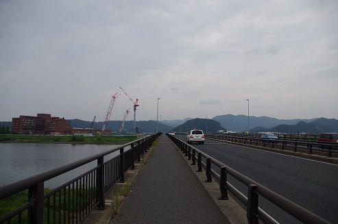 IMGP2581
