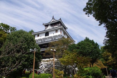 IMGP4282