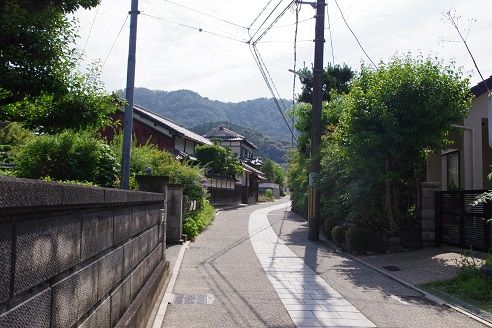 IMGP7570