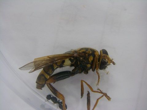 IMGP0204