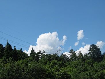 IMG_0299