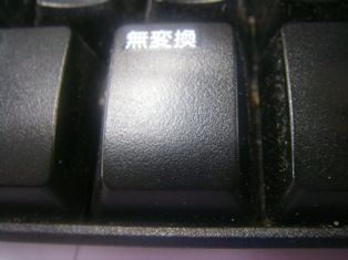 IMGP2405
