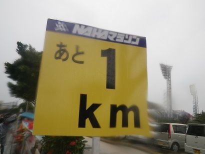 IMGP4157