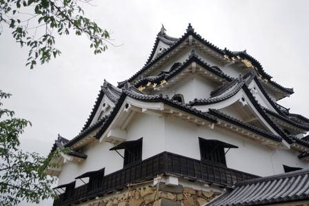 IMGP6738