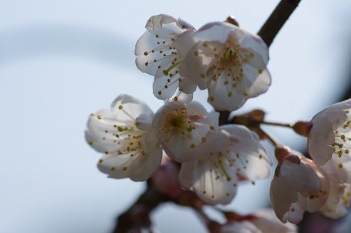 IMGP0708