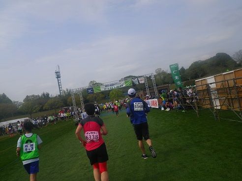 IMGP1588