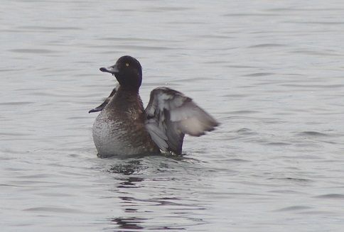 IMGP5297