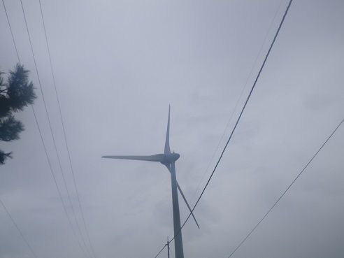 IMGP1583