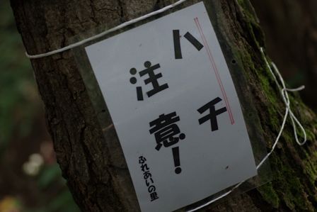 IMGP7554