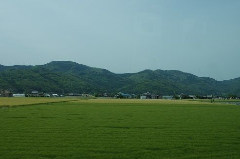 IMGP7406