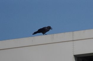 IMGP3035