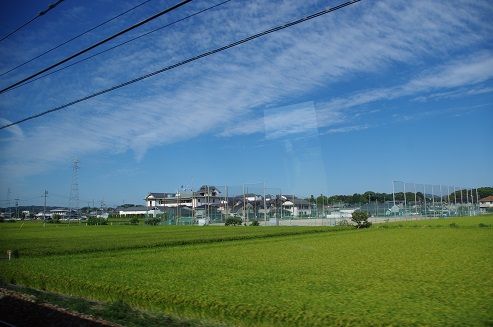 IMGP2995