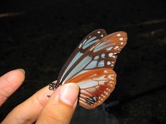 IMG_3640