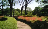 200704皇居。
