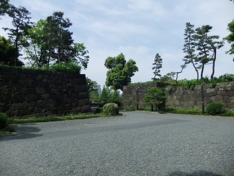 DSCF4817