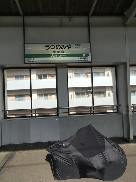 IMG-6544